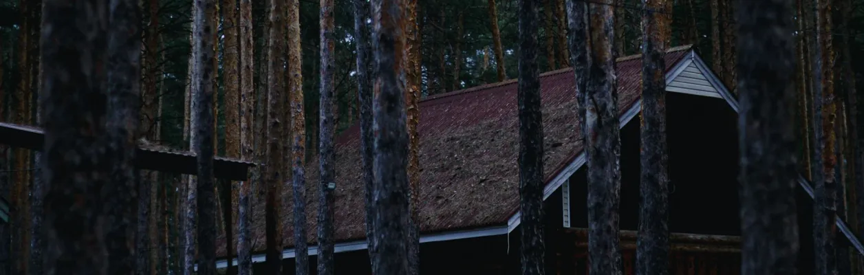 Dark log cabin nestled in a dense pine forest at night.